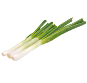 Lauchzwiebel